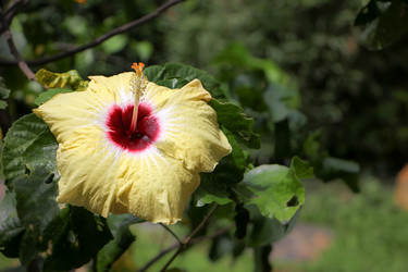 Similar image 19583752