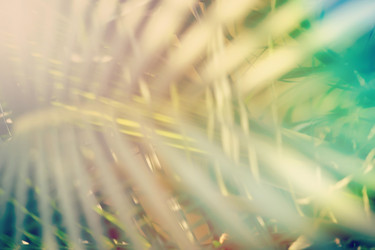 Similar image 19583753