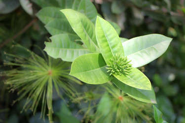 Similar image 19583763