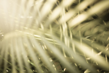 Similar image 19583765