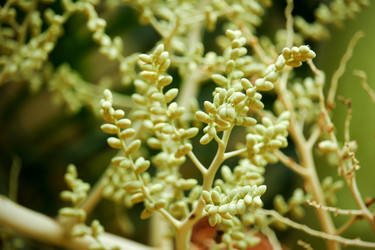 Similar image 19583766