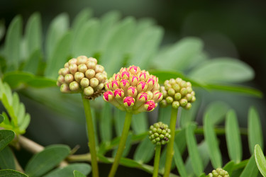 Similar image 19583768