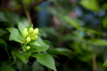 Similar image 19583769