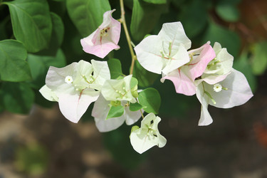 Similar image 19607183