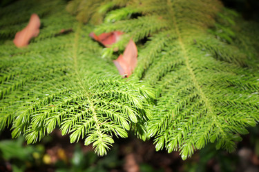 Similar image 19607184