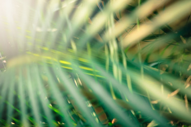 Similar image 19607185