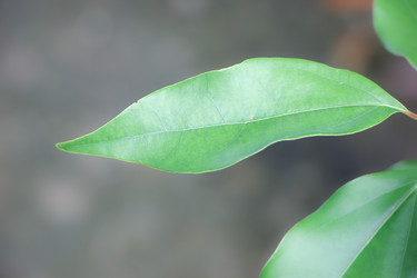 Similar image 19607188