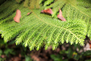 Similar image 19607189