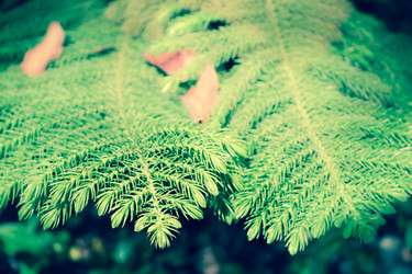 Similar image 19607201