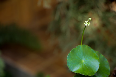 Similar image 19607200