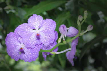 Similar image 19607202