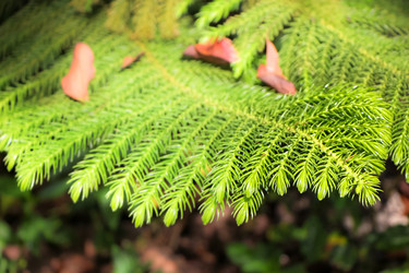 Similar image 19607218