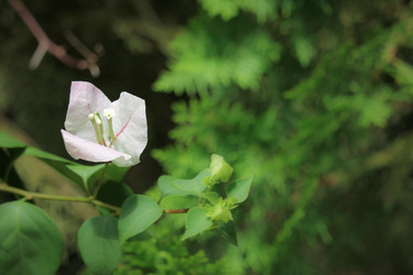 Similar image 19607229