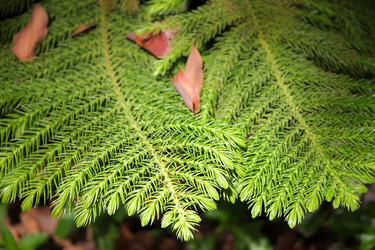 Similar image 19607239