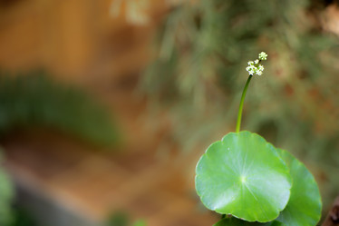 Similar image 19607252