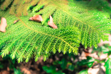 Similar image 19607256