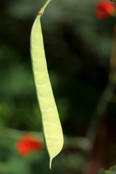 Similar image 19607269