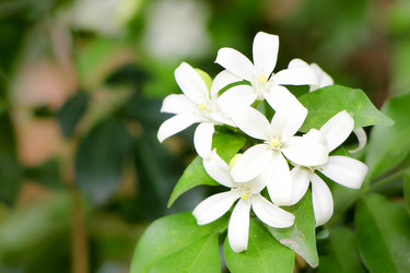 Similar image 19607277