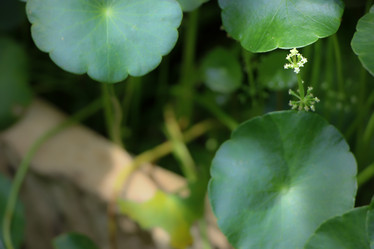 Similar image 19793316