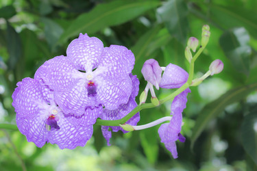 Similar image 19793317