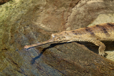 Similar image 19583325