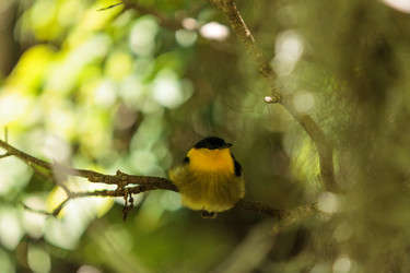 Similar image 19583382