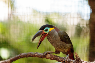 Similar image 19583362