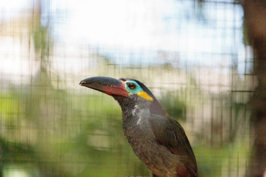 Similar image 19583365