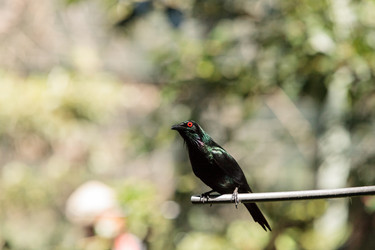 Similar image 19583339