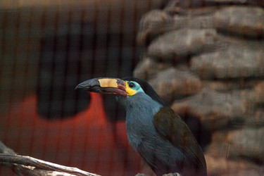 Similar image 19583342