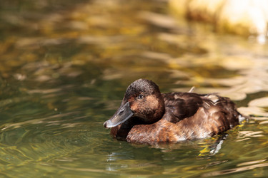 Similar image 19583345