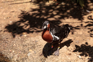 Similar image 19583392