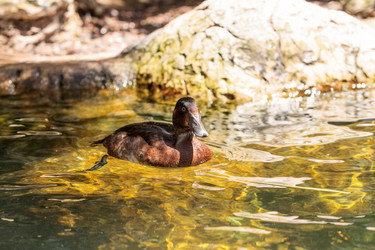 Similar image 19583422