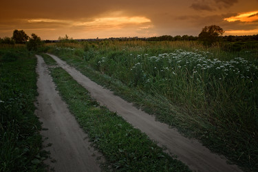 Similar image 19742872