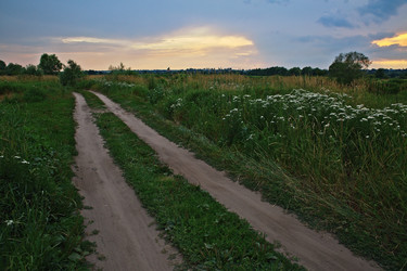 Similar image 19742863