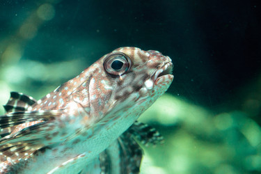 Similar image 19574901