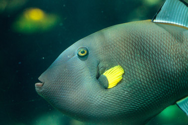 Similar image 19574960