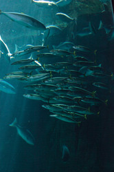 Similar image 19574939