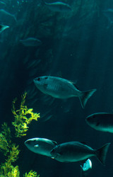 Similar image 19574981