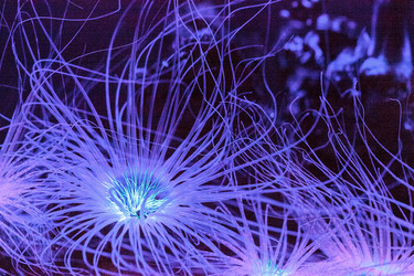 Similar image 19574983