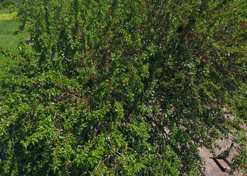 Similar image 19608303