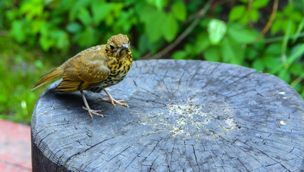 Similar image 19200385