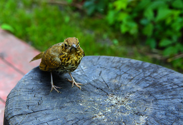 Similar image 19200388