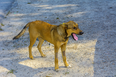 Similar image 19200208