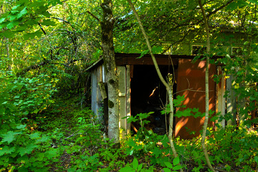 Similar image 19200211