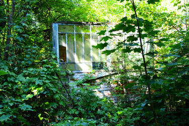 Similar image 19200212