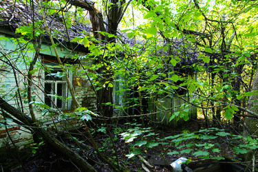 Similar image 19200213