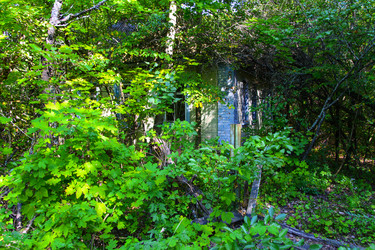 Similar image 19200214