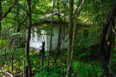 Similar image 19200216