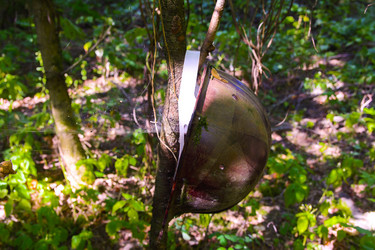 Similar image 19200219